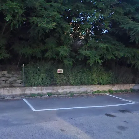 Estivo *